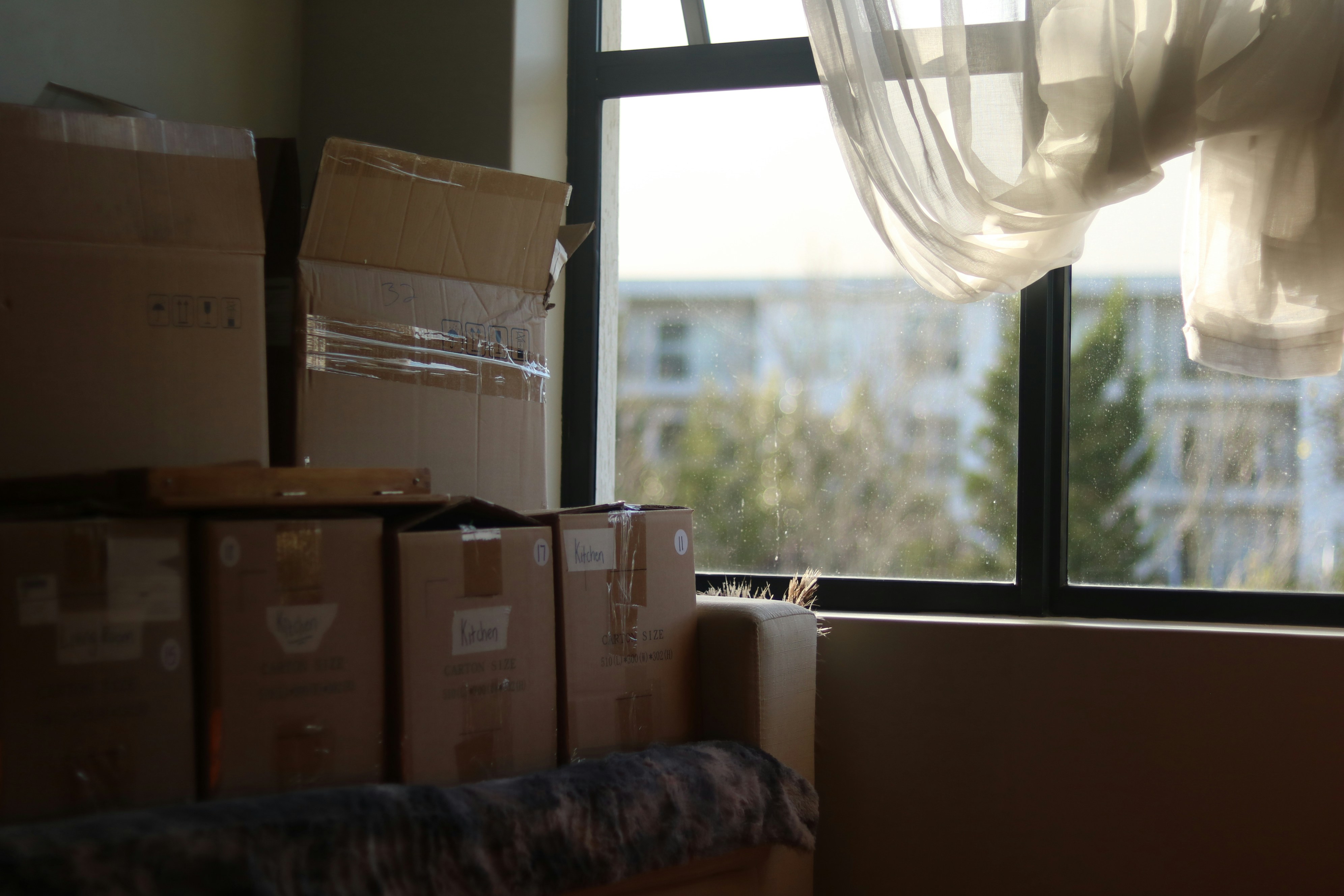 Empty apartment with moving boxes ready for cleaning